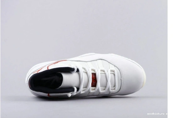 378038-016 Platinum Jordan (GS)  Retro Tint 378038-016 11 0515